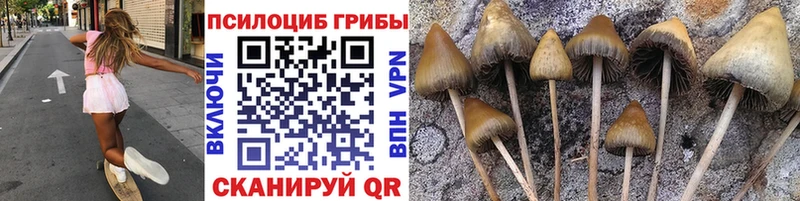 Галлюциногенные грибы MAGIC MUSHROOMS  Купить где  Бавлы 
